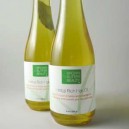 Brown Butter Beauty - Herbal Hair Oil - 60ml